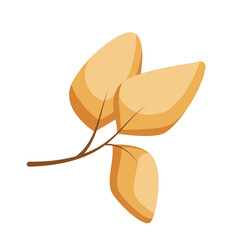 Twig with three yellow leaves in flat vector style isolated on white background. Leaves in trendy style and shades, for typography or print design.