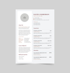 Professional Creative CV Design Template