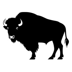 Bison