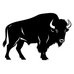 Bison