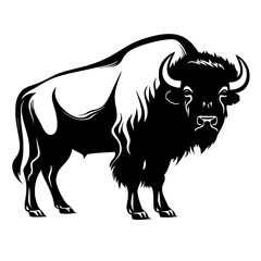 Bison