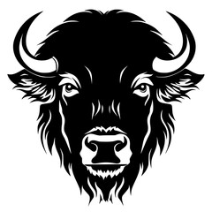 Bison