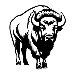 Bison