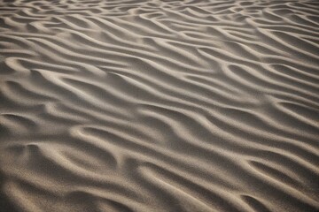Obraz premium sand ripples in the sand