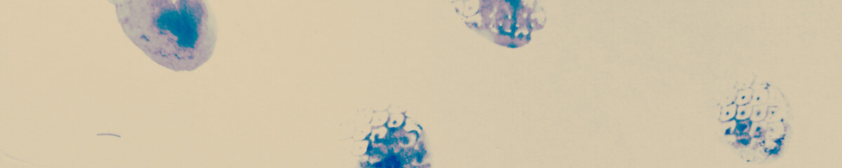 Dots Hand. Old Acrylic Painting. Neon Tiles