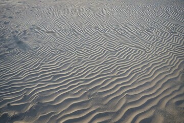 Obraz premium sand background