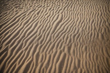 Obraz premium ripples in the sand