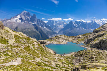 Chamonix Montblanc beautiful alpine mountain summits landscape. Alps mountains with snow and glacier above green valley of Chamonix in France. Alps beautiful scenery in summer