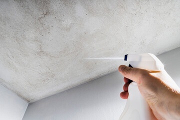 Spray to prevent mold on bathroom ceiling - moist indoor environment - Denmark
