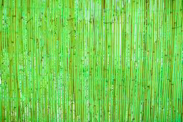 Winter fence on nature in the park background