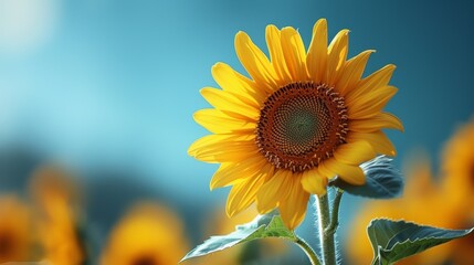 Fototapeta premium A close up of a sunflower with green leaves and blue sky, AI