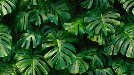   A close-up of a green, leafy plant with many green leaves on both sides