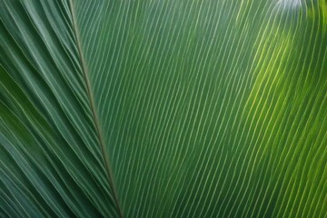 leaf texture