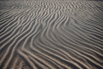 Obraz premium ripples in the sand
