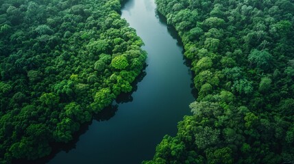 A river is seen from above in a lush green forest, AI