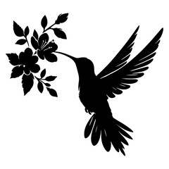 Flying hummingbirds silhouette isolated on white background