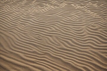 Obraz premium ripples in the sand