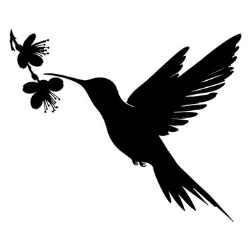black hummingbird silhouette feeding flowers clip art preview