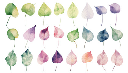 Set collection watercolor ivy leaves vector isolated on white background