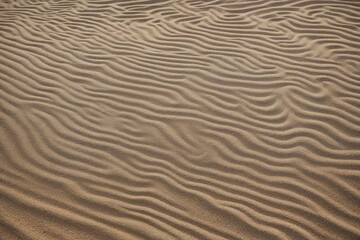Obraz premium ripples in the sand