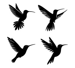 Humming bird silhouette Collection vector illustration