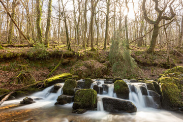 Obraz premium Long exposure of a waterfall flowing through the woods at Combe Park near Watersmeet in Exmoor National Park