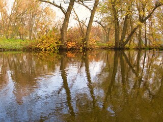 Fototapeta premium River in the forest, lake in the woods, river and clouds, reflection of trees in the water