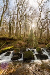 Long exposure of a waterfall flowing through the woods at Combe Park near Watersmeet in Exmoor National Park