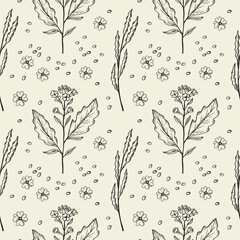 Seamless pattern with mustard plant flowers. Hand drawn engraved repeating floral background for textile, packaging, label, card, print, paper, wallpaper. Spicy food ingredient. Vector illustration