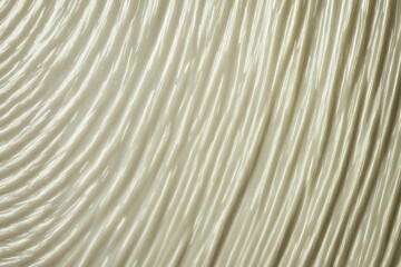 Obraz premium background