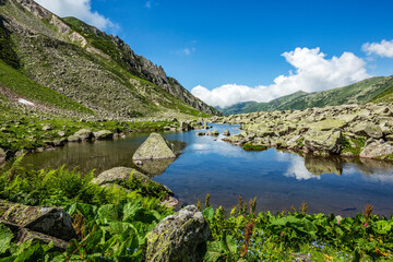 Fototapeta premium A glacial lake fed by snow waters in the Altıparmak Mountains and spring colors... Rize, Türkiye