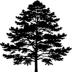 Detailed Silhouette of a Pine Tree Vector Illustration