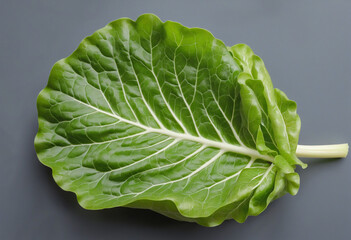 Green vegetable leaves for a healthy salad on a white background