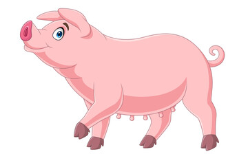 Cartoon funny pig on white background