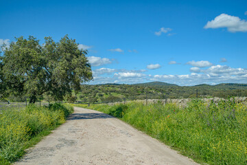 road in the countryside