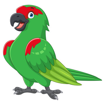 Cartoon Thick billed parrot on white background