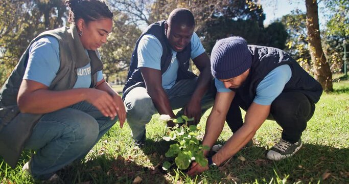 Teamwork, planting and community service in park, nature and garden for sustainable environment. Collaboration, climate change and happy volunteers with flower, growth and green ecology for earth day