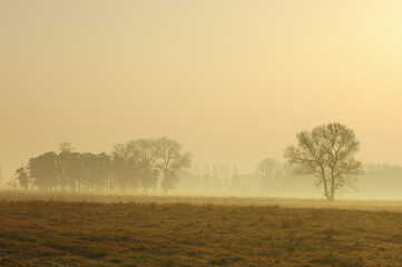 Morning Glow: Northern Havelland's Rivers Meet in Germany
