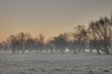 Naklejka premium Morning Glow: Northern Havelland's Rivers Meet in Germany