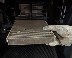 A mechanic changes the cabin air filter of a car.