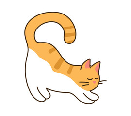Domestic cat stretching, pulls himself up with his eyes closed. Cute striped orange pet standing. Kawaii funny animal. Isolated image for sticker on white background. Doodle style. Vector illustration