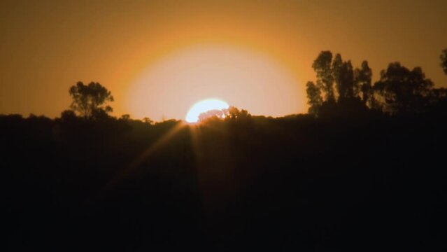 The Sun Sets behind the Trees at Don Tomas Lagoon, Santa Rosa, La Pampa Province, Argentina. Timelapse.