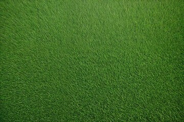 green grass texture