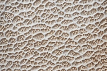 close up of mushrooms