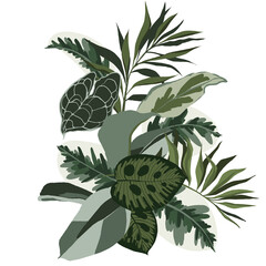 Hand draw graphic green tropical bouquet, simple exotica palm leaf, monster, isolated on transparent background