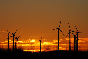 Renewable Energy Fields: Wind Turbines near Nauen, Brandenburg
