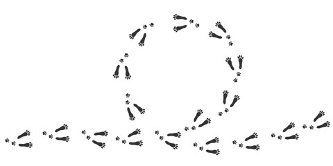 Footprints of Forest Animal, Traces of a hare on white background. Hare or rabbit silhouette animal tracks. Traces in a Traces in a circle of a hare or rabbit. of a hare or rabbit.  EPS10.
