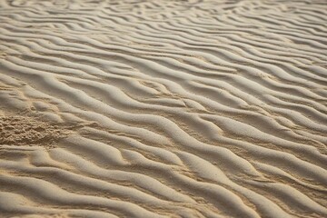 Fototapeta premium sand ripples on the beach