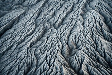 black and white feathers