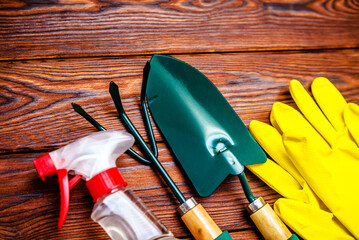 Garden tools on the background of a brown wooden table
